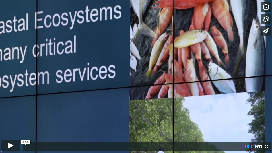 COP21CoastalEcosystemsMangroveSwampsPhilippinesonVimeo