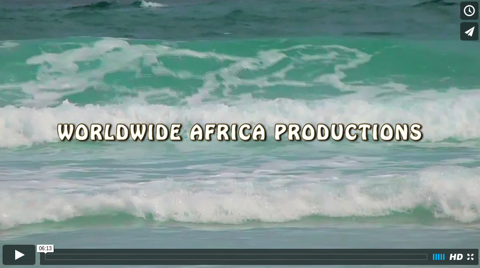 FishCrimeBernardLiedemannDAFFSAonVimeo