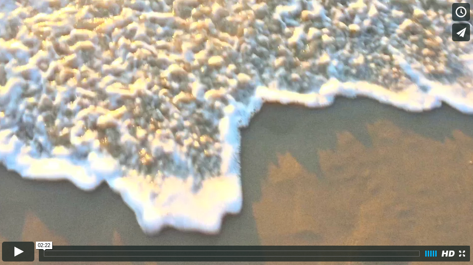 FishCrimeMarcusAsnerArnoldandPorterUSAonVimeo