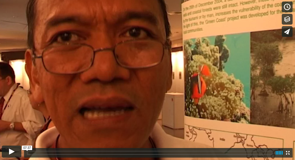 cop13speakeronglobalpeatlandfires