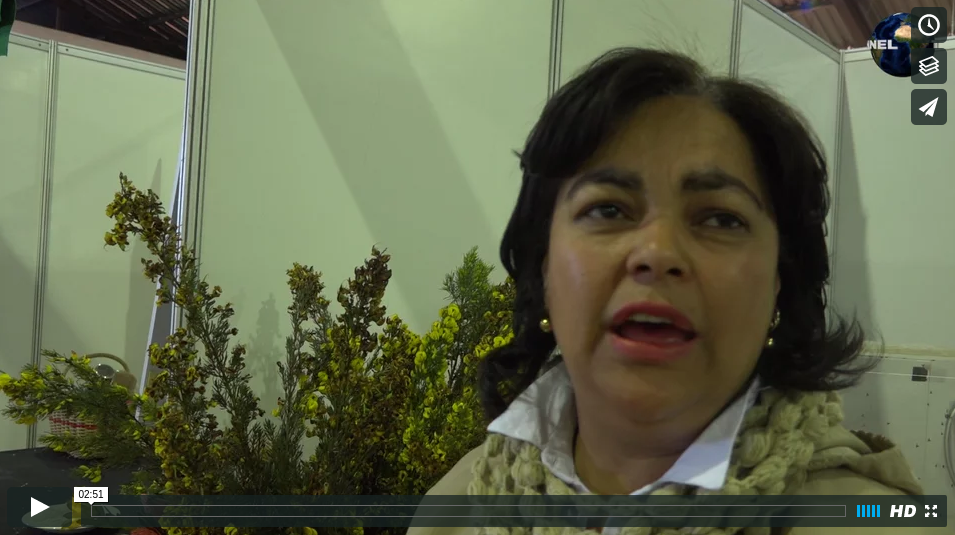 bredasdorpagrishowleonie