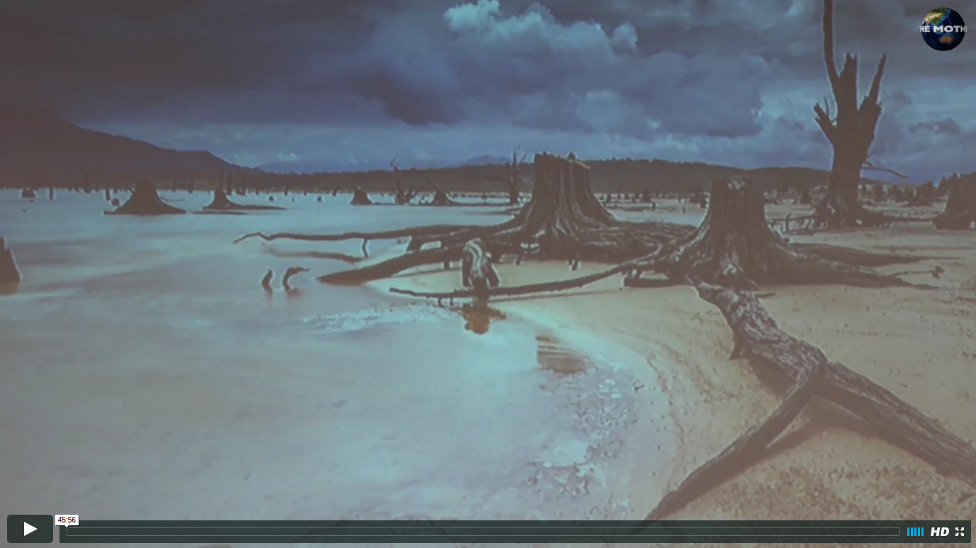 ClimateChangeinCapeTown