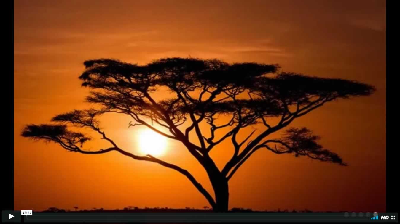 AwarenessandLifestyles